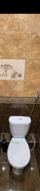 2-к кв. Новосибирская область, Тогучин ул. Ленина, 4/3 (48.5 м) - Фото 1