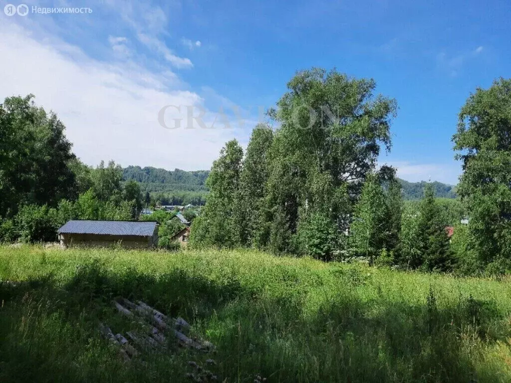 Участок в Майминский район, посёлок Дубровка, Лесной переулок, 5 (12 ... - Фото 1
