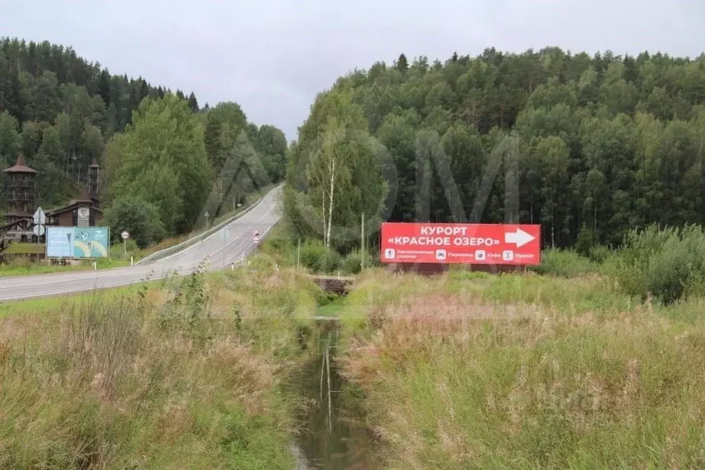 Участок в Ленинградская область, Приозерский район, Красноозерное ... - Фото 2