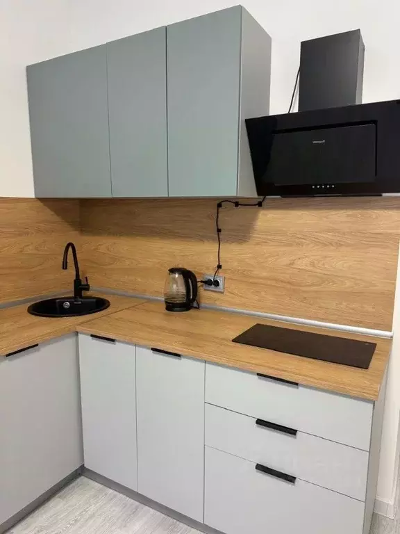 Студия Санкт-Петербург пос. Стрельна, просп. Буденного, 20к1 (28.3 м) - Фото 2