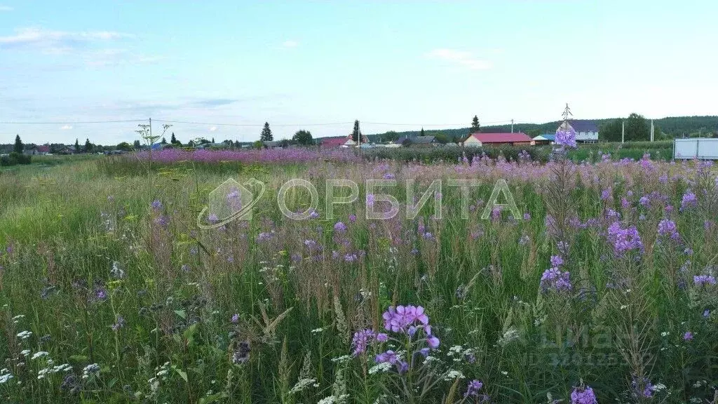 Участок в Тюменская область, Тюменский район, с. Мичурино  (15.0 сот.) - Фото 1