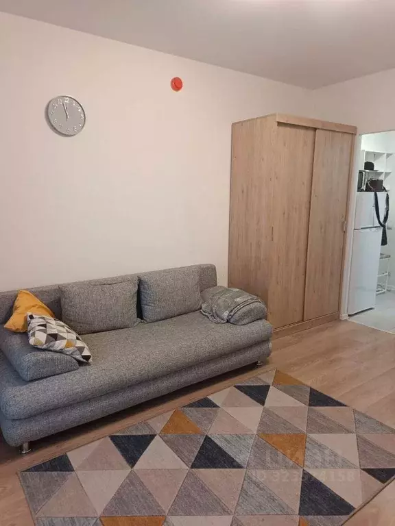 Студия Москва № 100 кв-л, 1к1 (20.0 м) - Фото 1