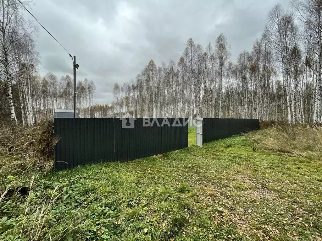 Участок в Нижегородская область, Богородский муниципальный округ, д. ... - Фото 1