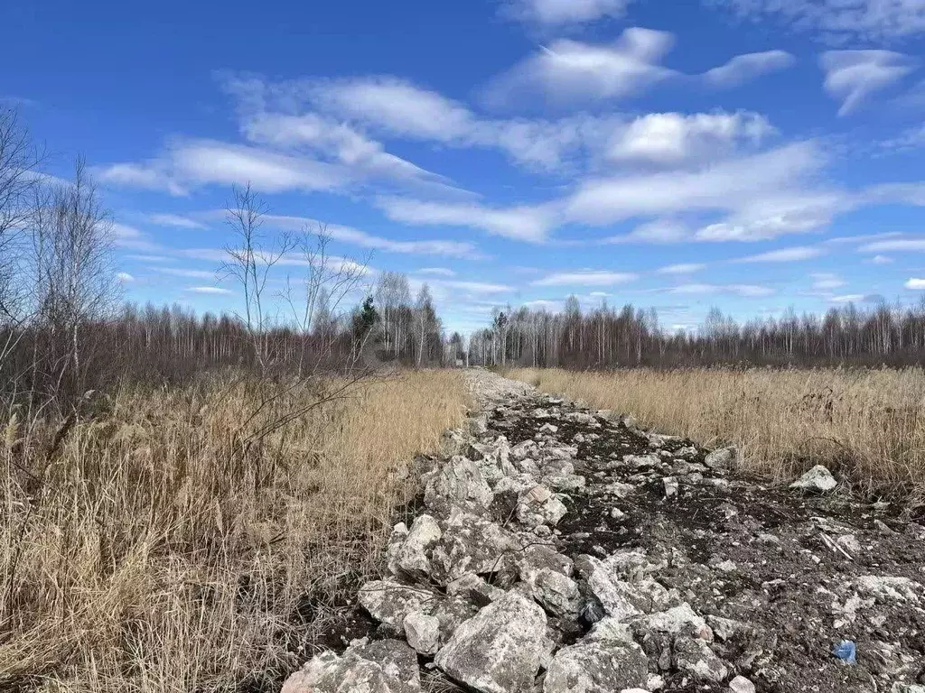 Участок в Тюменская область, Нижнетавдинский муниципальный округ, ... - Фото 1