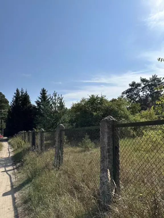 Участок в Калининградская область, Светловский городской округ, пос. ... - Фото 2