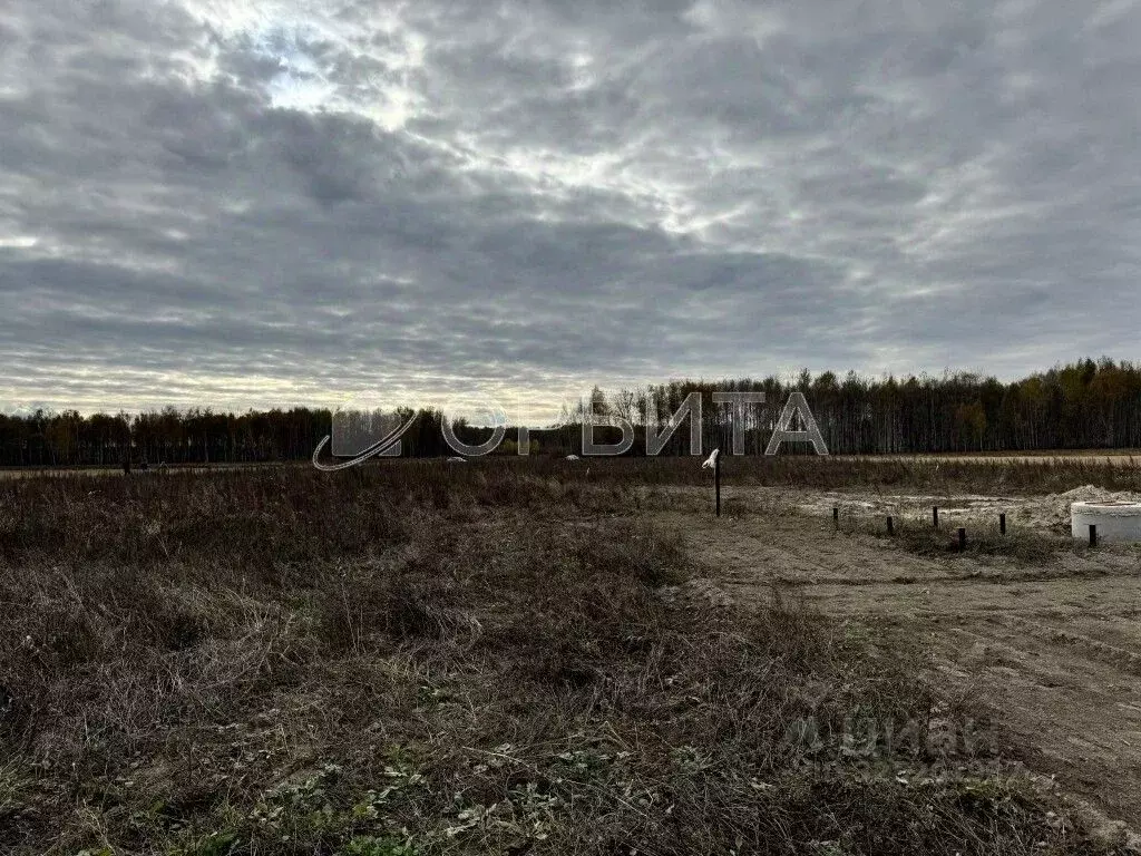 Участок в Тюменская область, Тюменский муниципальный округ, д. Елань ... - Фото 1