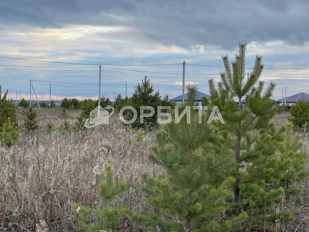 Участок в Тюменская область, Тюменский район, д. Елань 14 (7.18 сот.) - Фото 1