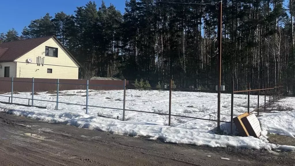 Участок в Брянская область, Сельцо Молодежная ул. (10.0 сот.) - Фото 2