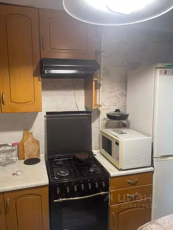 1-к кв. Санкт-Петербург ул. Вавиловых, 4К2 (31.0 м) - Фото 1