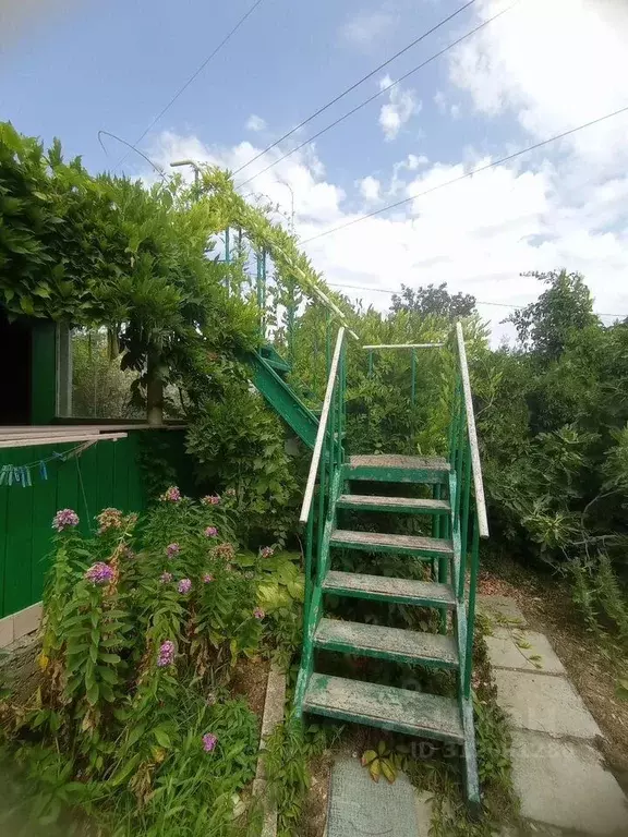 Дом в Севастополь Маяк-1 садовое товарищество, ул. Фруктовая (41 м) - Фото 1