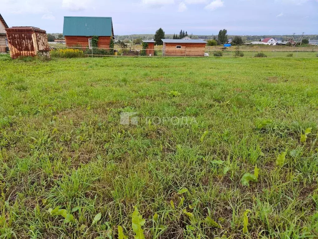 Участок в Новосибирская область, Тогучинский район, Репьевский ... - Фото 2