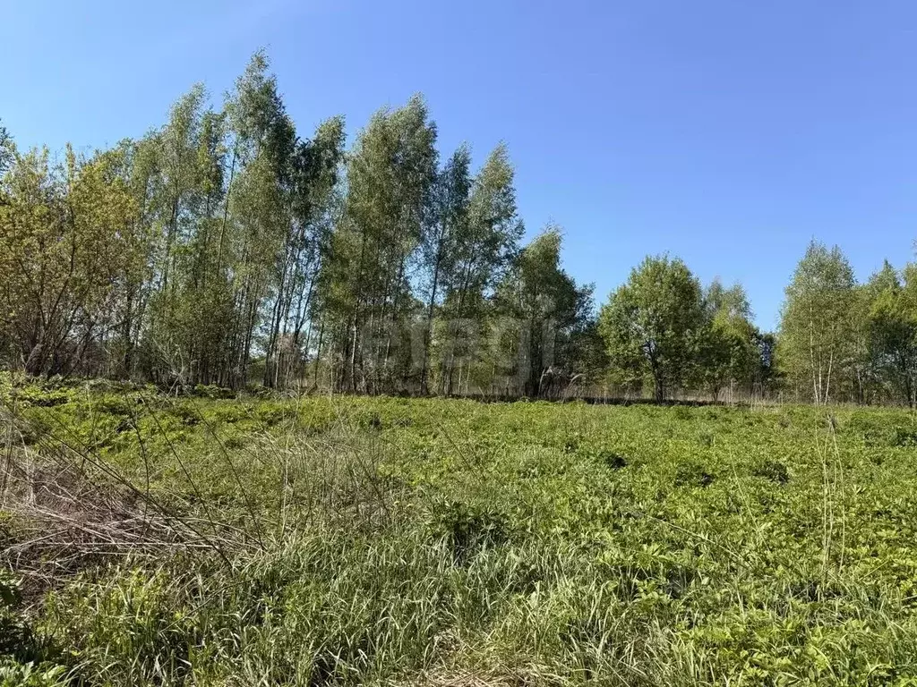 Участок в Смоленская область, Смоленск пос. Миловидово,  (22.0 сот.) - Фото 1