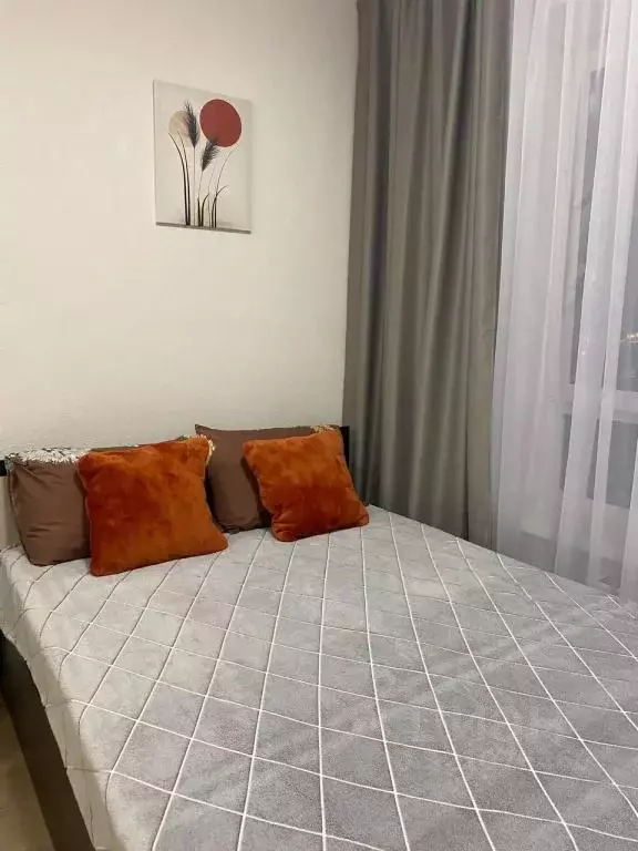 1-к кв. Московская область, Балашиха ул. Реутовская, 20 (20.0 м) - Фото 0