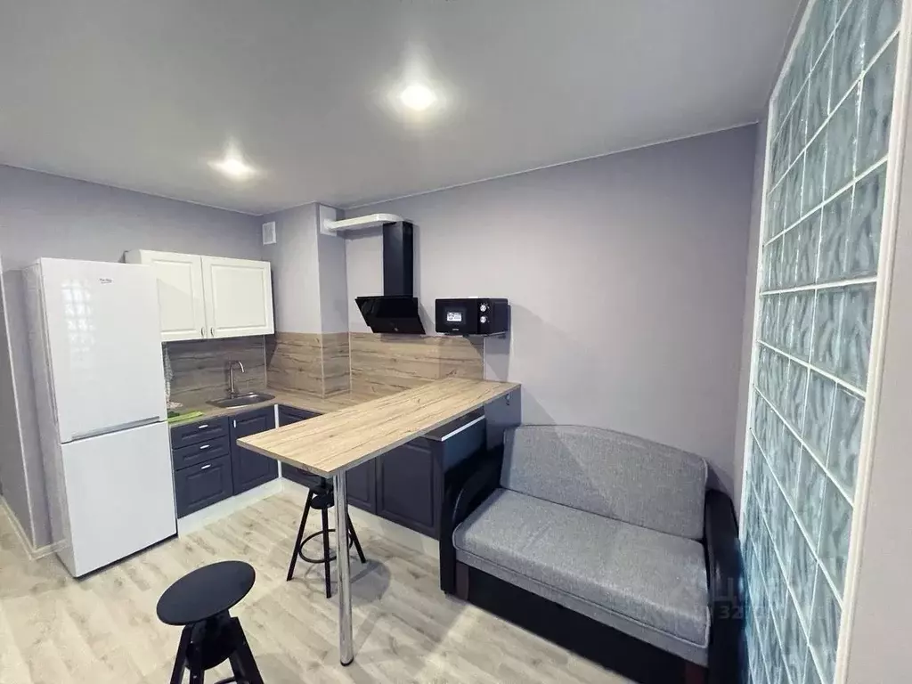 1-к кв. Московская область, Солнечногорск городской округ, Голубое пгт ... - Фото 2