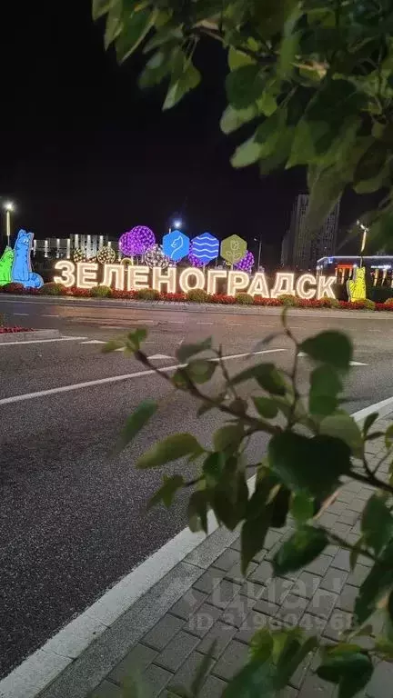 1-к кв. Калининградская область, Зеленоградск ул. Автомобилистов, 9 ... - Фото 0