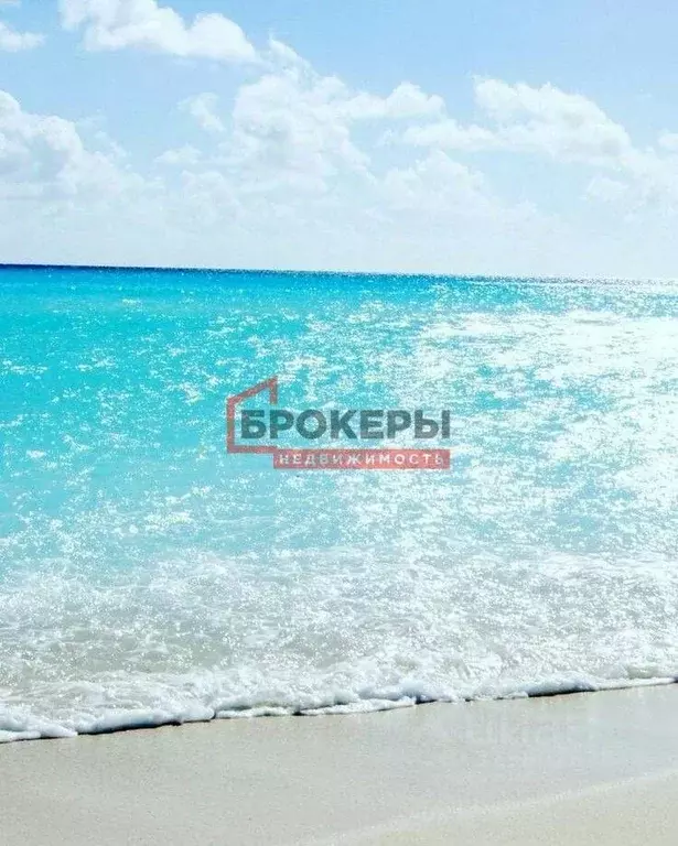 Участок в Крым, Сакский район, с. Фрунзе ул. Российская, 18 (10.0 ... - Фото 1