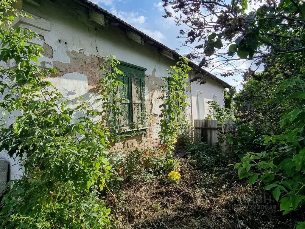 Дом в Омская область, Омск ул. 4-я Дачная (45 м) - Фото 0