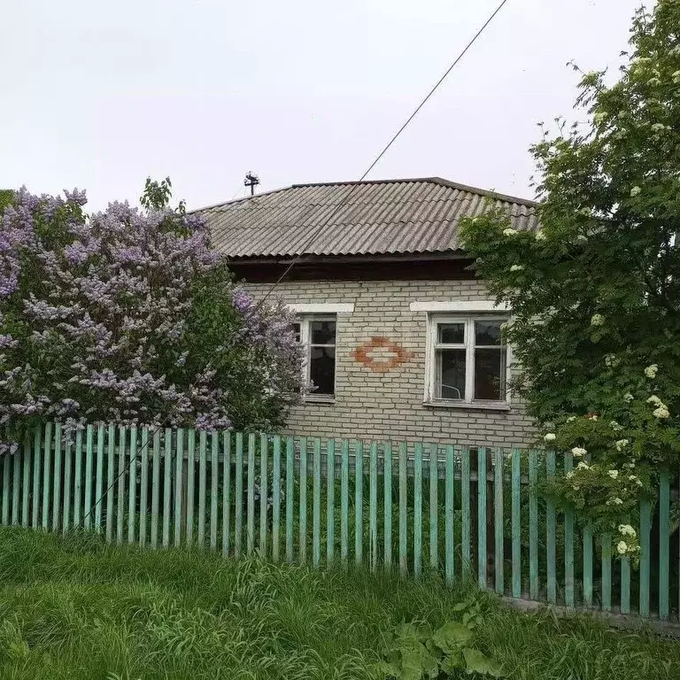 Дом в Курганская область, Варгаши рп ул. Чкалова, 44Б (70 м) - Фото 1