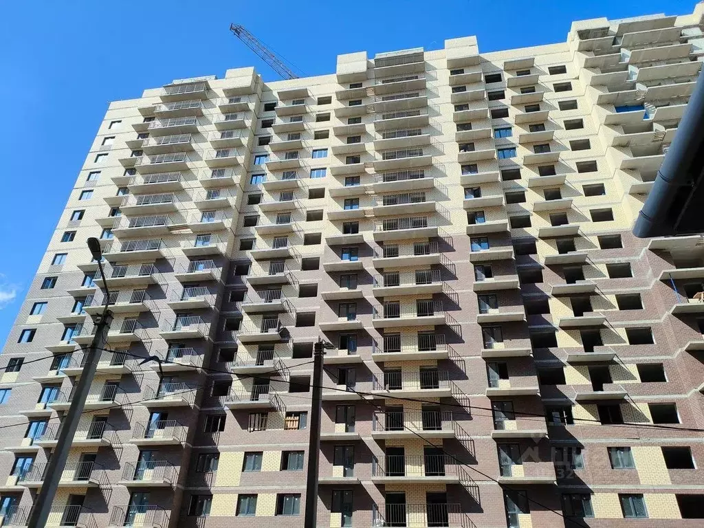 Студия Ярославская область, Ярославль ул. Строителей, 18 (27.43 м) - Фото 2