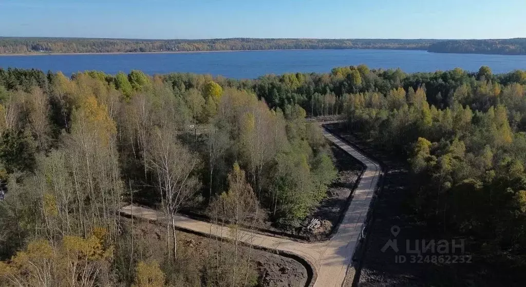 Участок в Ленинградская область, Выборгский район, Приморское ... - Фото 1