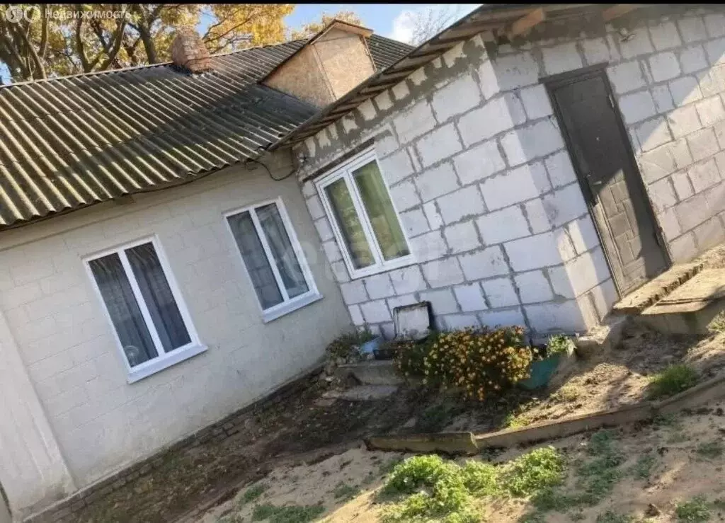 Дом в Займище, улица Гагарина (44.8 м) - Фото 0