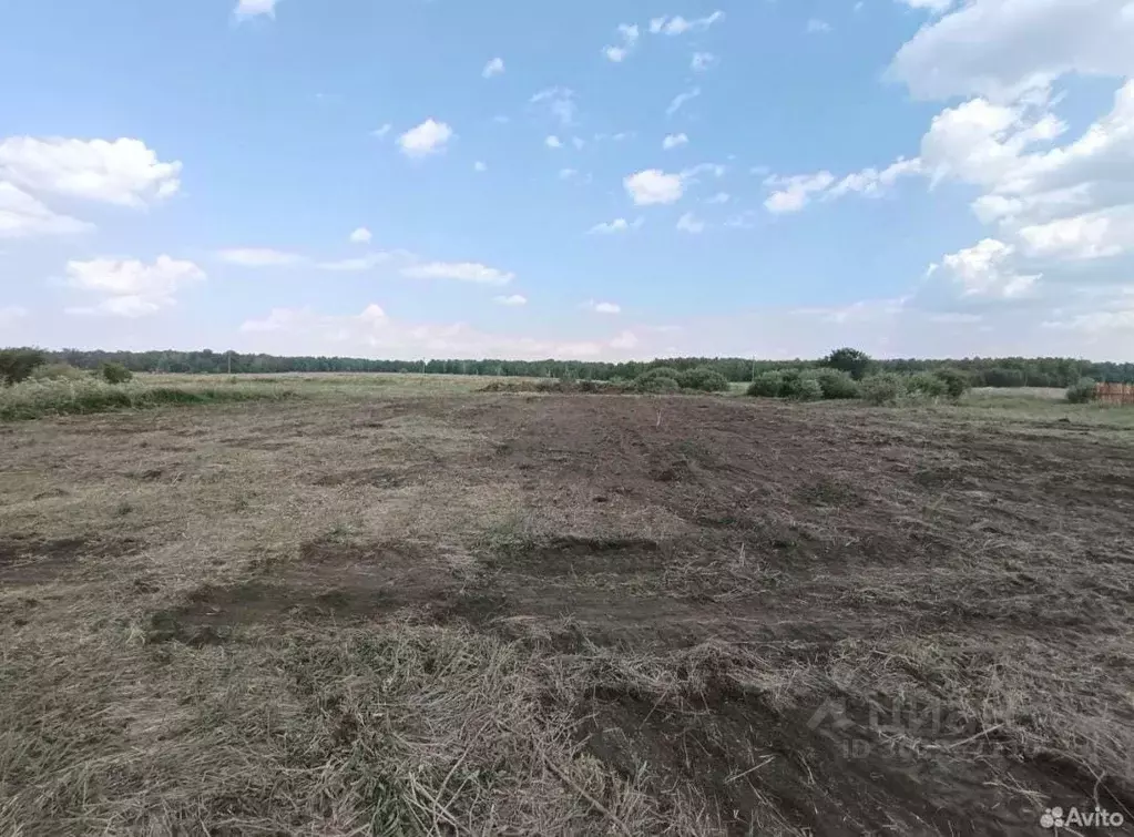 Участок в Челябинская область, Еткульский муниципальный округ, с. ... - Фото 2