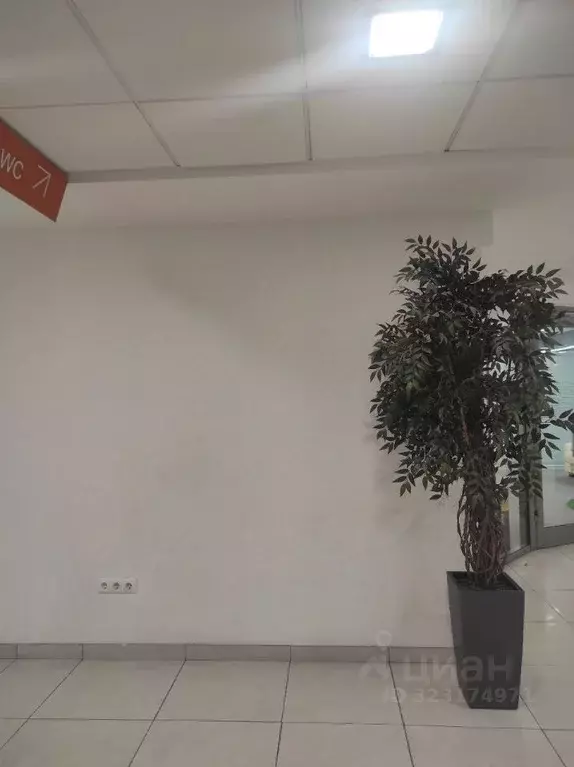 Помещение свободного назначения в Татарстан, Казань Петербургская ул., ... - Фото 2