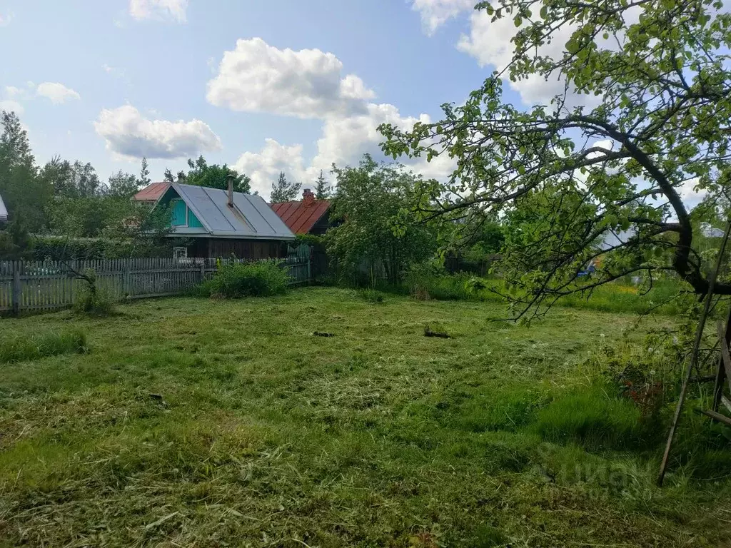 Участок в Ленинградская область, Тосненский район, Трубникоборское ... - Фото 1