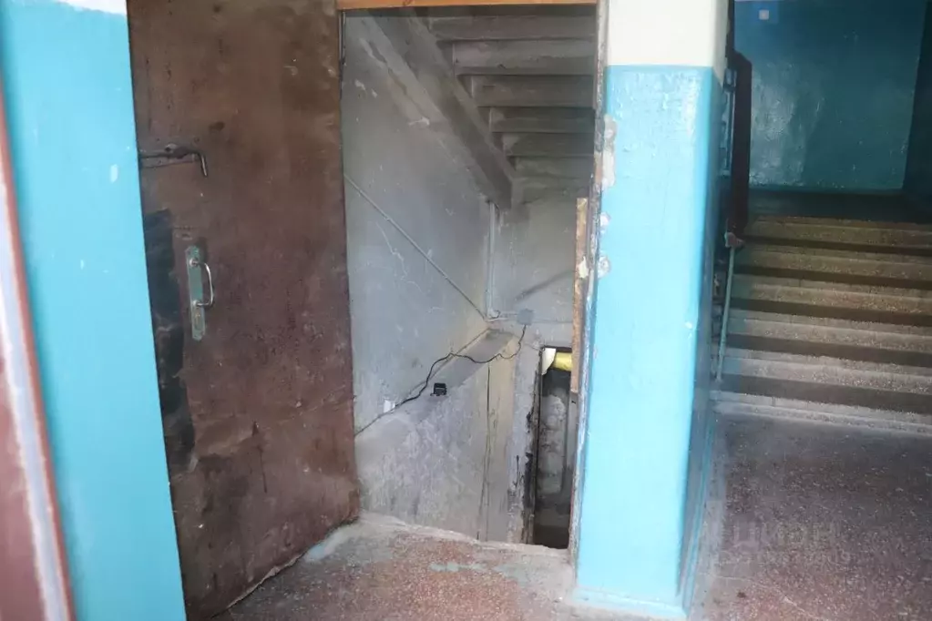 Помещение свободного назначения в Воронежская область, Воронеж ул. ... - Фото 1