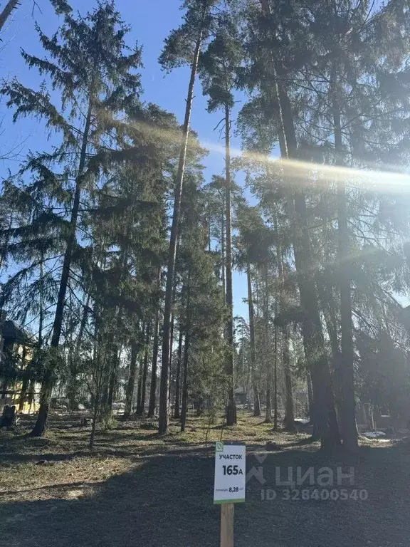 Участок, 8.2 сот., поселения (ижс) - Фото 1