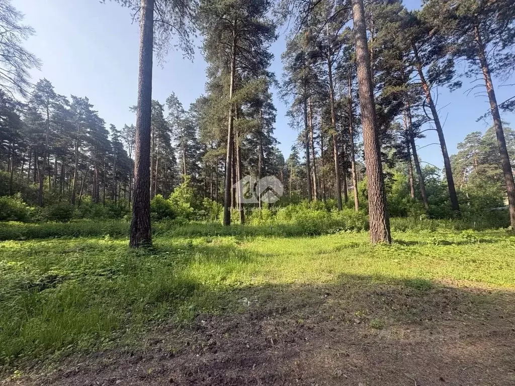 Участок в Новосибирская область, Новосибирский район, Мочищенский ... - Фото 1