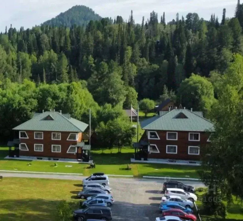Комната Алтай, Турочакский район, с. Артыбаш Телецкая ул., 86 (10.0 м) - Фото 1