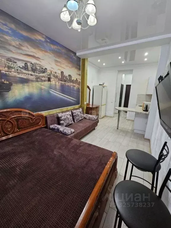 Студия Татарстан, Казань ул. Академика Парина, 8 (20.0 м) - Фото 2