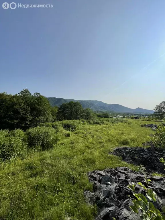 Участок в Владикавказ, СНО Редант (5 м) - Фото 1
