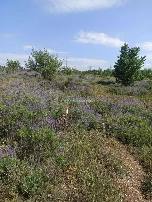 Участок в Крым, Симферопольский район, с. Мазанка ул. ... - Фото 2