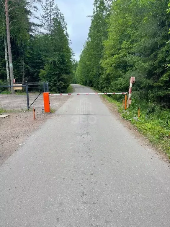 Участок в Ленинградская область, Всеволожский район, Сертоловское ... - Фото 1