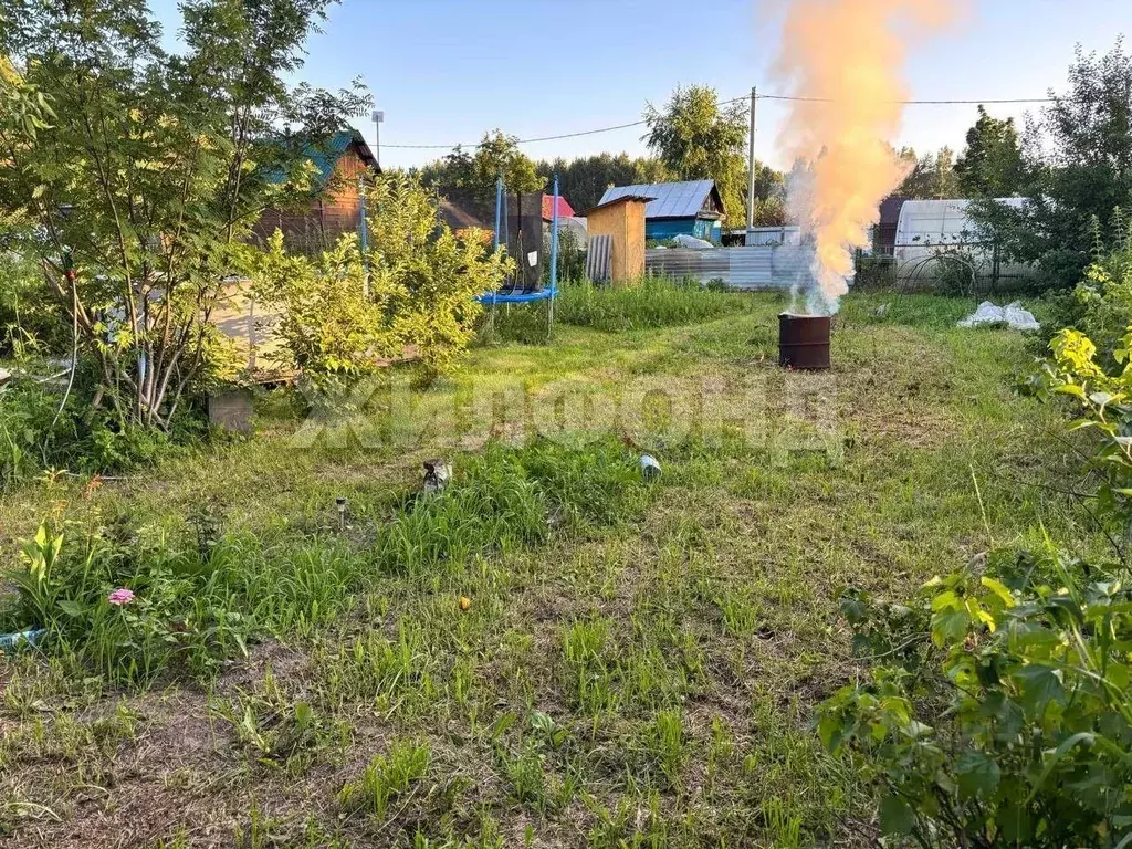 Участок в Новосибирская область, Новосибирск  (4.83 сот.) - Фото 1