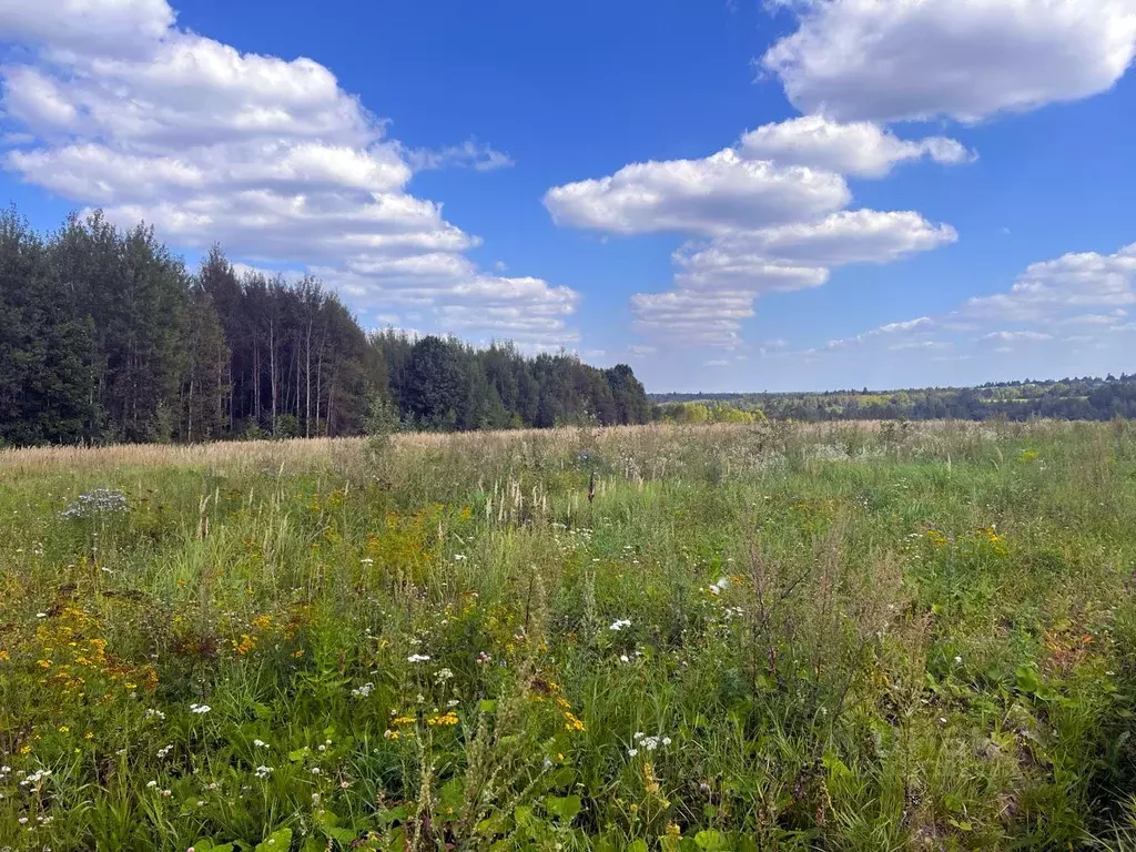 Участок в Московская область, Дмитровский городской округ, Медведки кп ... - Фото 1