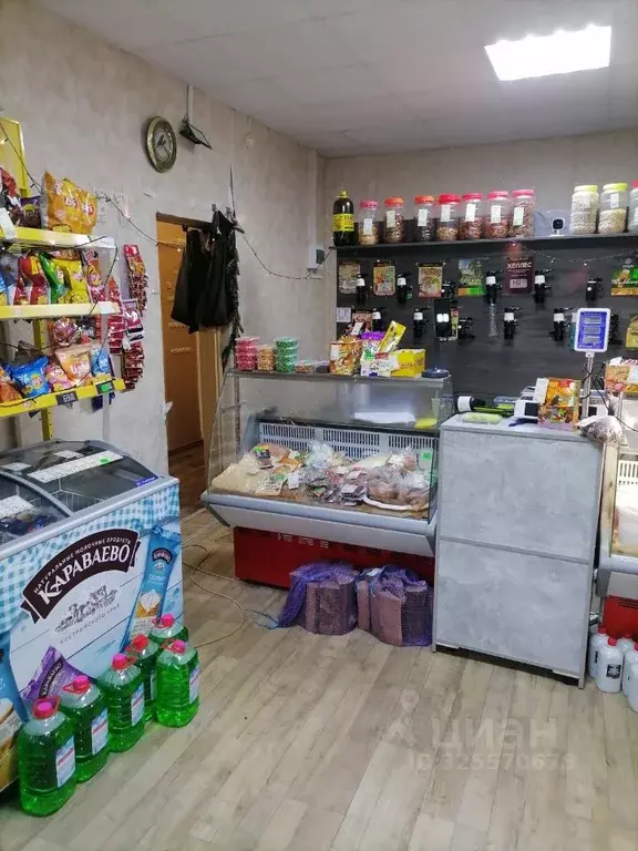 Помещение свободного назначения в Белгородская область, Белгород пер. ... - Фото 2