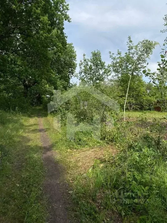 Участок в Мордовия, Саранск городской округ, Ялга рп, Свердловец СНТ  ... - Фото 0