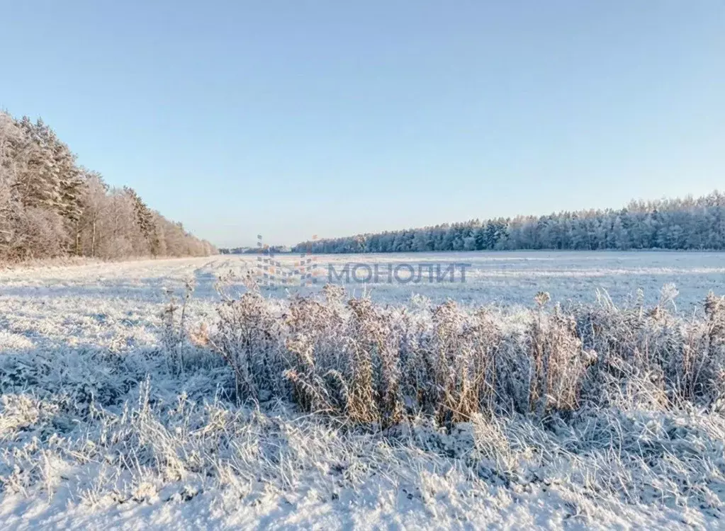 Участок в Нижегородская область, Богородский муниципальный округ, с. ... - Фото 1