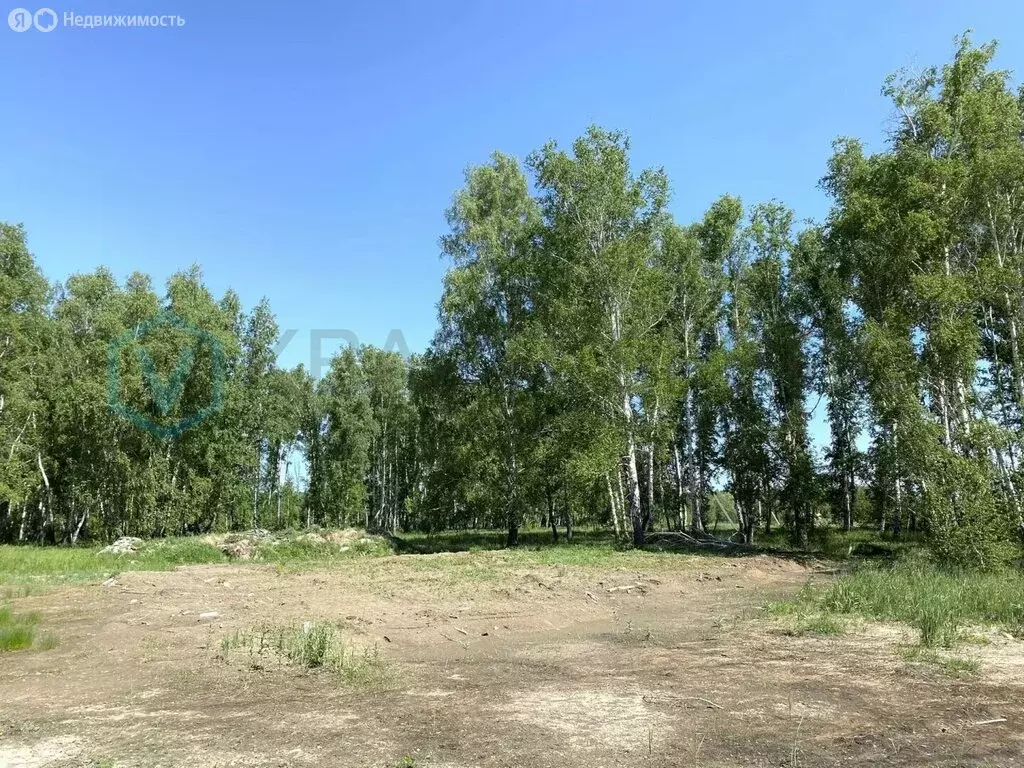 Участок в муниципальный округ Омский район, деревня Ракитинка ... - Фото 1