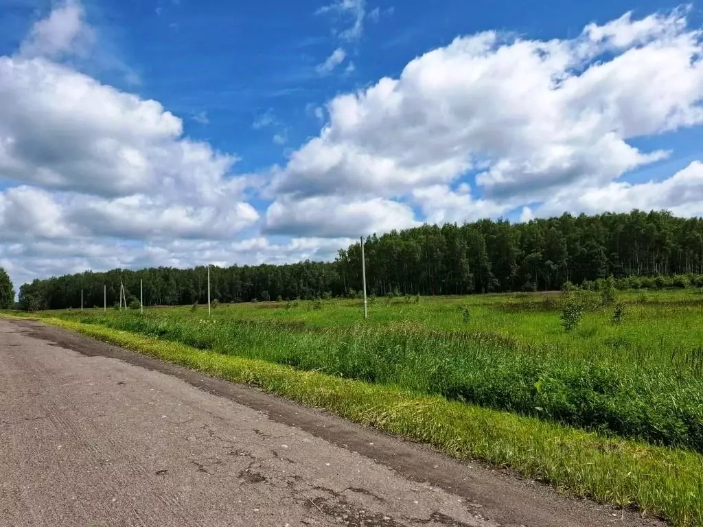 Участок в Владимирская область, Киржачский муниципальный округ, д. ... - Фото 1