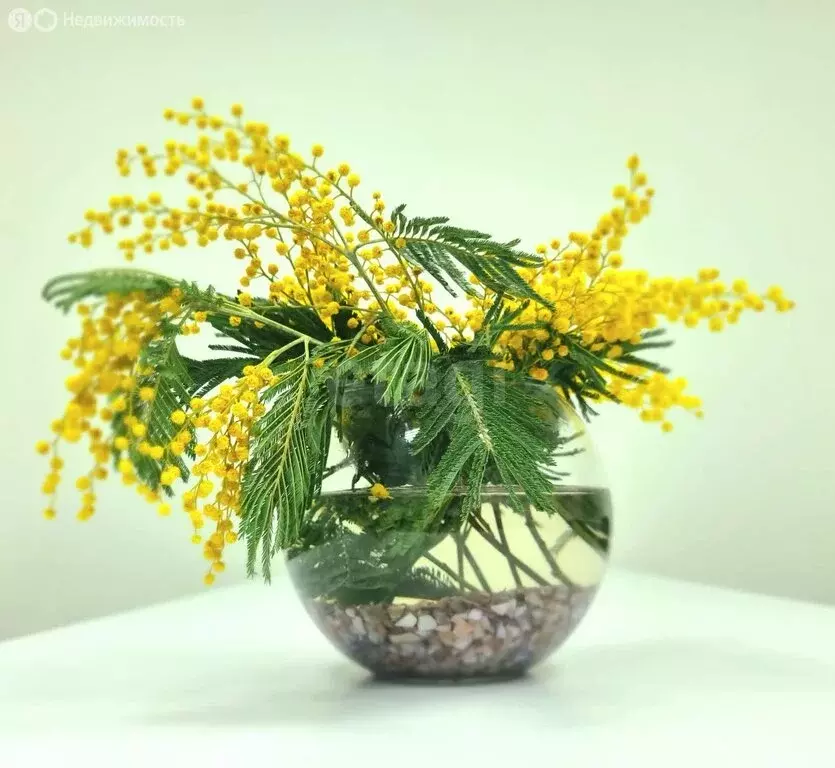 Квартира-студия: Волгоград, проспект Маршала Жукова, 104 (26.8 м) - Фото 2