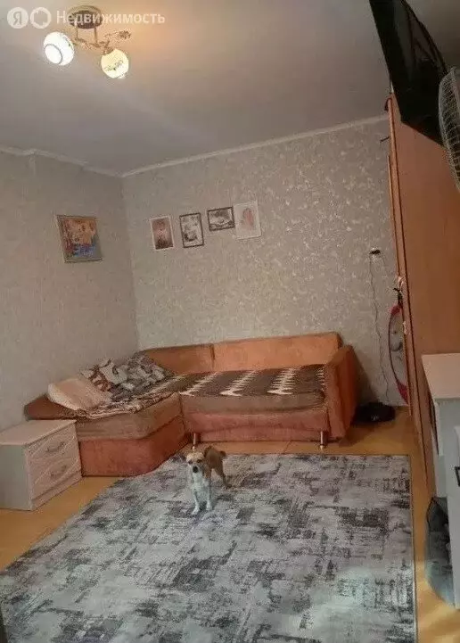 Дом в Симферополь, Кондукторская улица (28.5 м) - Фото 1