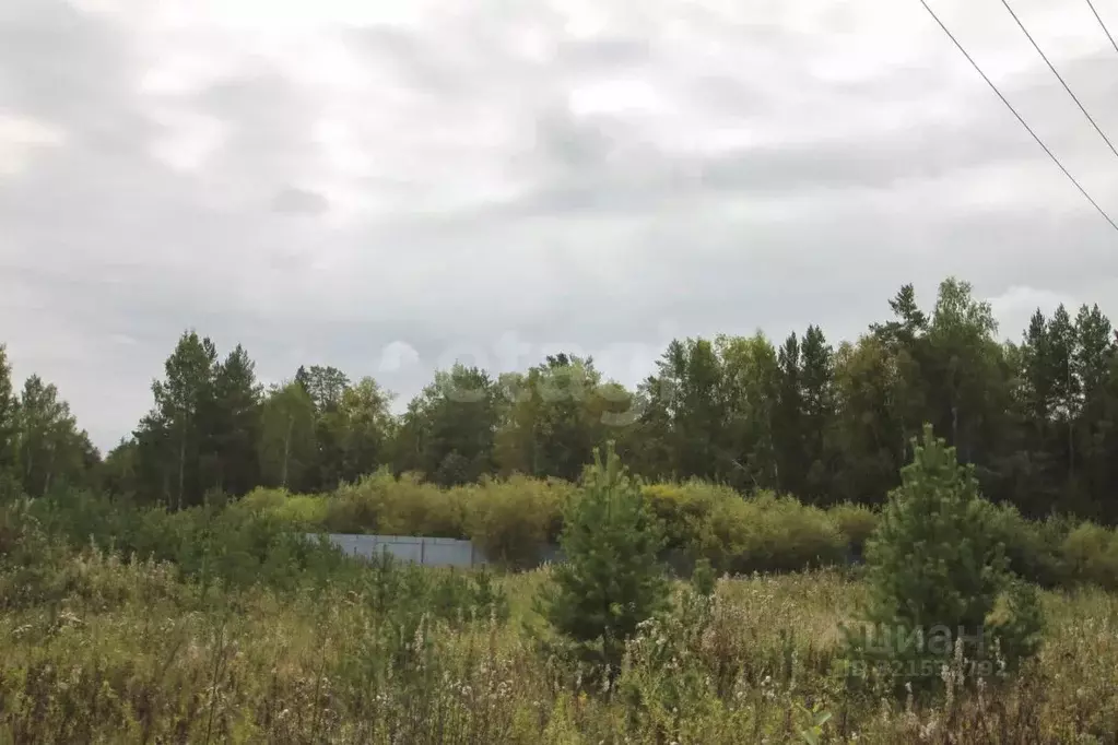 Участок в Свердловская область, Полевской муниципальный округ, д. ... - Фото 1