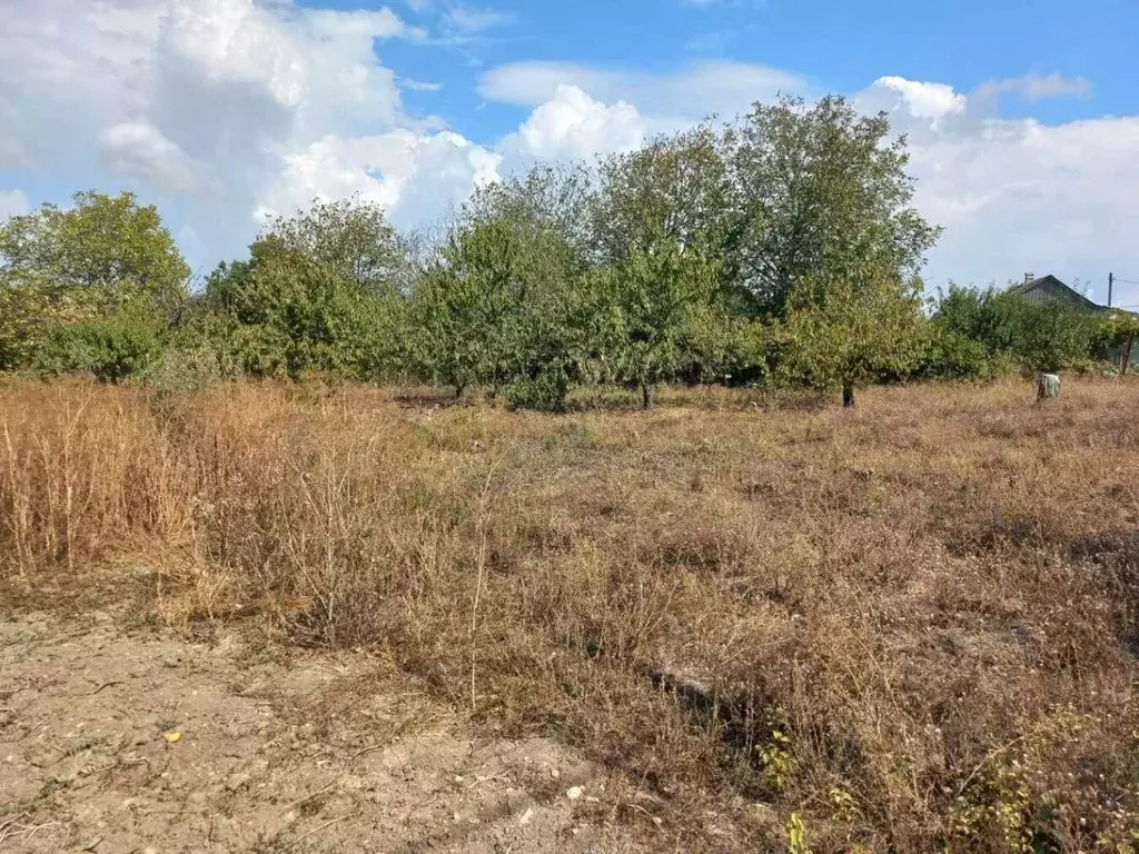 Участок в Краснодарский край, Анапа муниципальный округ, с. Варваровка ... - Фото 1