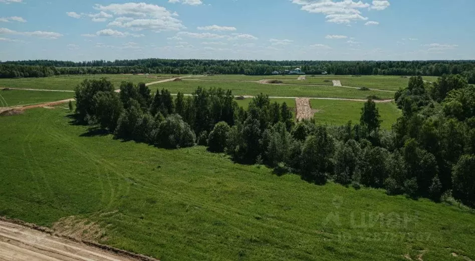 Участок в Московская область, Рузский муниципальный округ, д. Кузянино ... - Фото 1