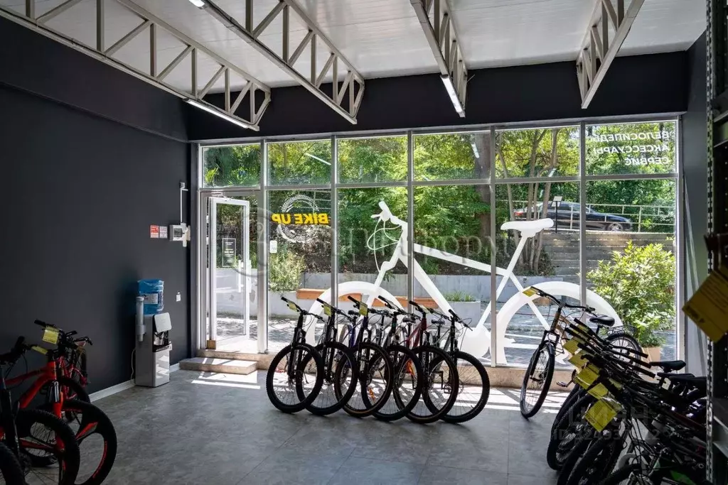 Торговая площадь в Краснодарский край, Сочи Курортный просп., 84/2 ... - Фото 2