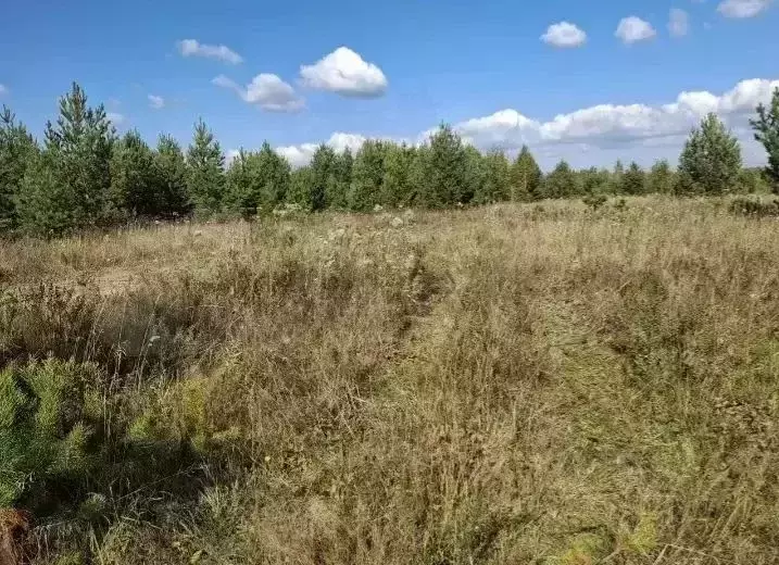 Участок в Свердловская область, Верхняя Пышма городской округ, с. ... - Фото 2